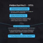Стул мастера Комфорт Про цвет шоколадный